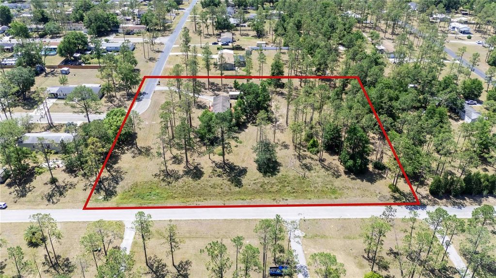 Photo of 13721 Mcintosh Drive, Dade City, FL 33525 (MLS # TB8376582)