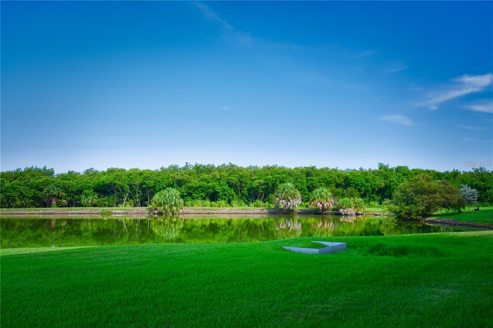 SHORES OF LONG BAYOU CONDO - Residential