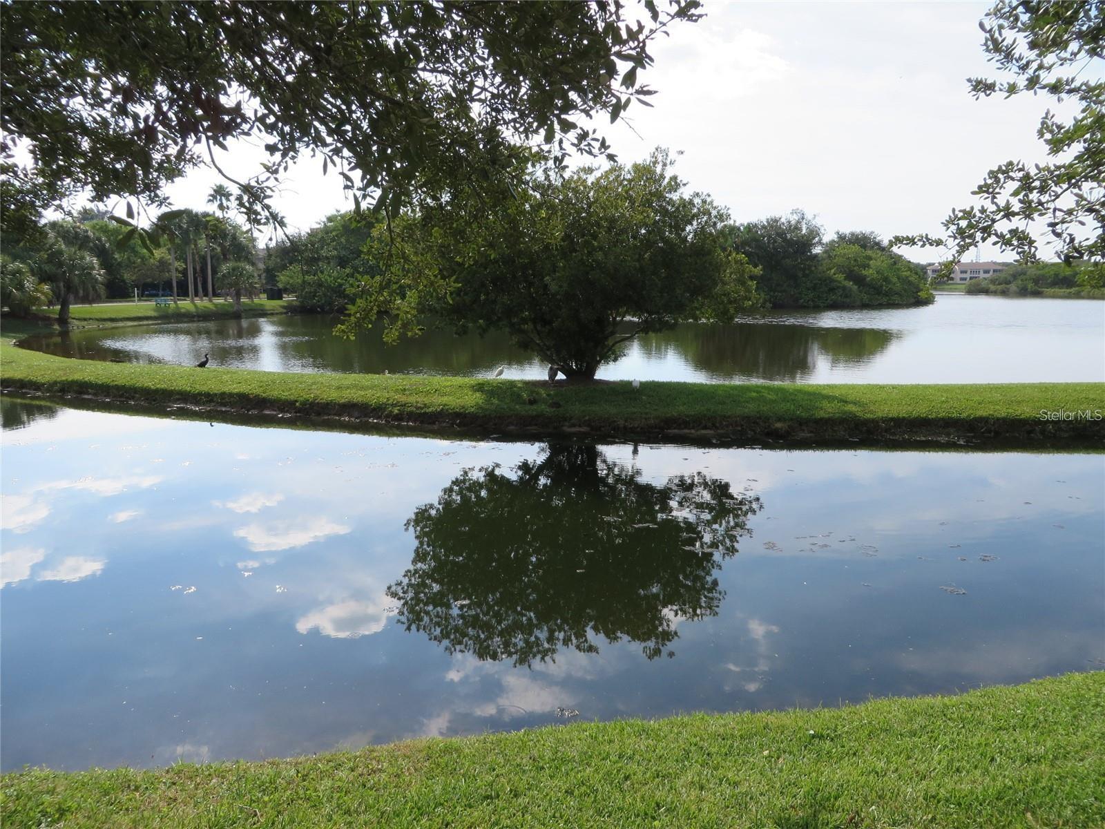 SHORES OF LONG BAYOU CONDO - Residential