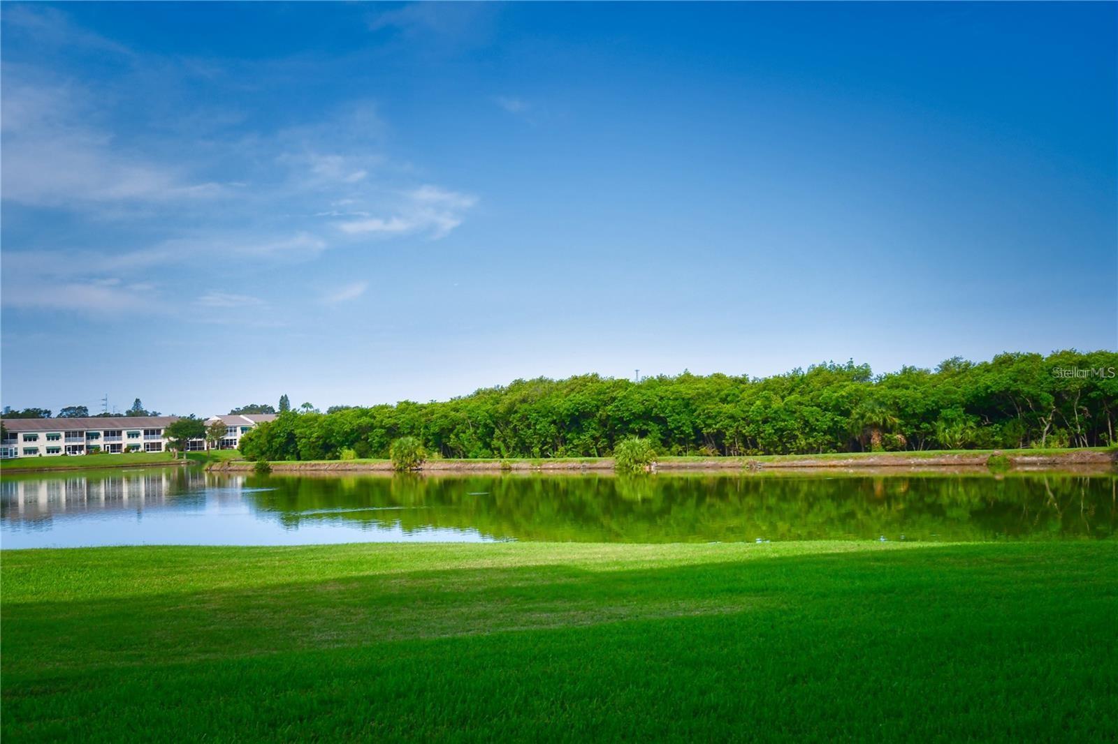 SHORES OF LONG BAYOU CONDO - Residential