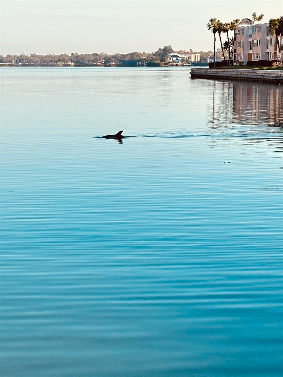 BAY ISLAND GROUP 10 - Residential