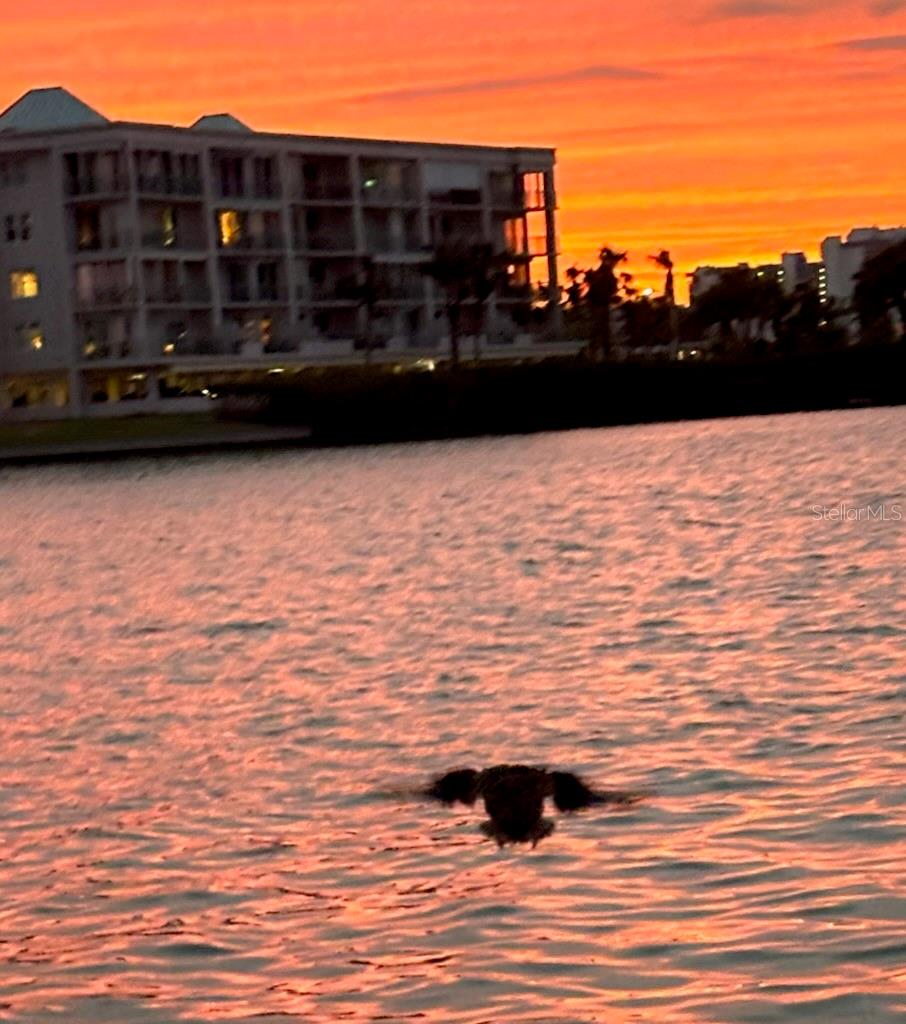 BAY ISLAND GROUP 10 - Residential