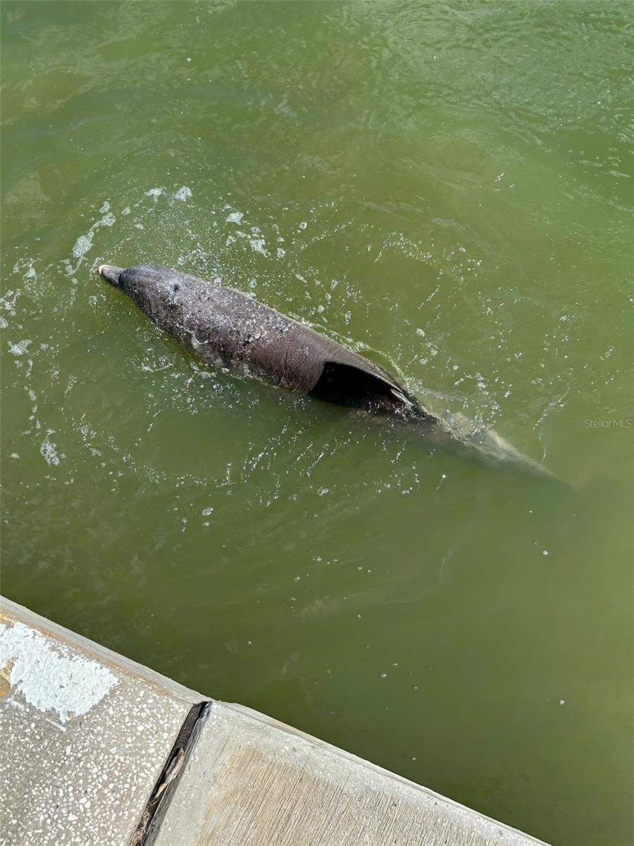 BAY ISLAND GROUP 10 - Residential