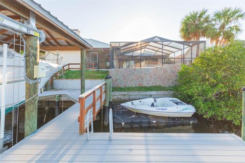 A home in APOLLO BEACH