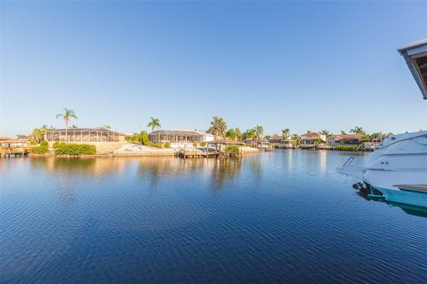 A home in APOLLO BEACH