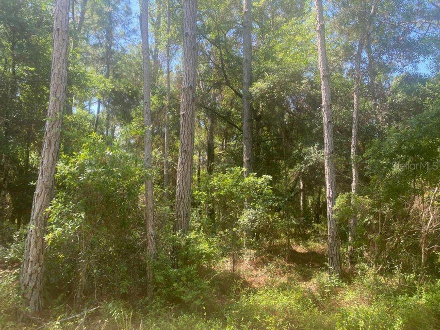 Don't miss this Half an acre zoned R4. Perfect property for those that love a peaceful country setting. Located minutes to downtown Fort McCoy with grocery store, doctor office, pharmacy, hardware, gas station, pizza delivery and more. Close to Silver Springs which is great for kayaking, boating and outdoor activities. Ocala is just another 20 minutes away with Walmart, Lowes, Bealls, Outback and many more of your favorite shopping and restaurants. Gainesville is only 50 minutes to downtown. If you're a fisherman, hunter or simply love hiking, canoeing or kayaking you are in luck! Minutes to Ocklawaha River, Rodman Reservoir boat ramp, Ocala National Forest and many natural springs (Salt Springs, Silver Glen Springs, Juniper Springs), horseback and walking trails, and off-road vehicle trail.  For driving directions use: NEIGHBORS ADDRESS 14220 NE 155TH PL FORT MC COY, FL 32134-7955