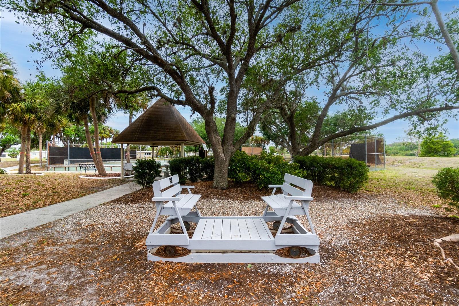 VILLAGE OF HOLIDAY LAKE - Residential