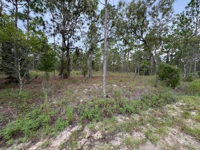 Imagine turning the page to building your Dream Home on this spacious 1-acre lot situated on a paved road. Located within the Rainbow Lakes Estates community in Dunnellon, FL. This property is Zoned R1 and is not within any flood zone. It’s the perfect blend of serenity. Come & walk this property today & make your dreams come true.