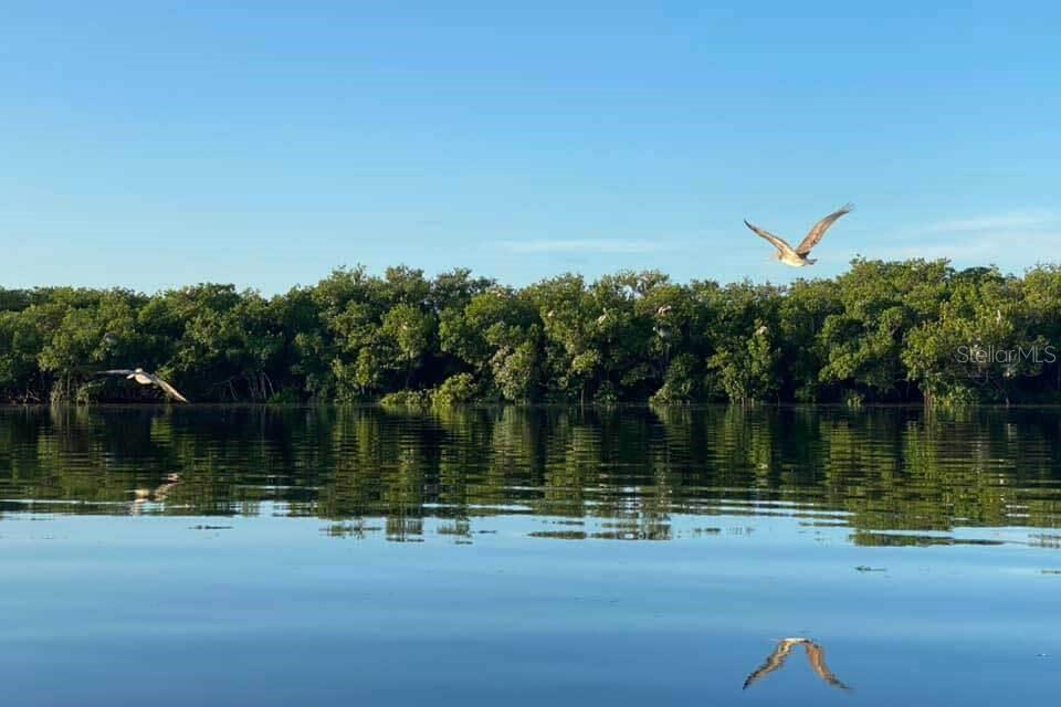 SENATE MANOR UNREC - Residential