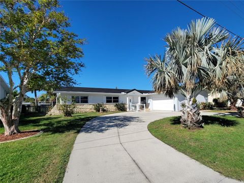 A home in PUNTA GORDA