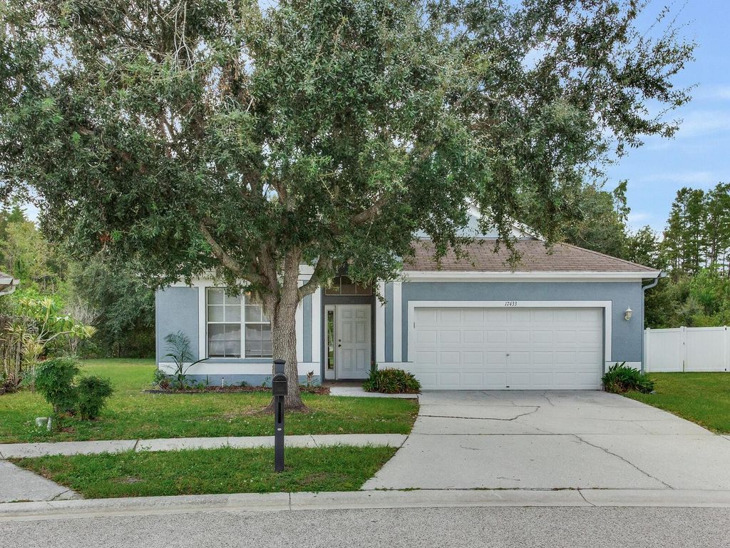 Photo of 17433 Lawn Orchid Loop, Land O Lakes, FL 34638 (MLS # TB8436943)