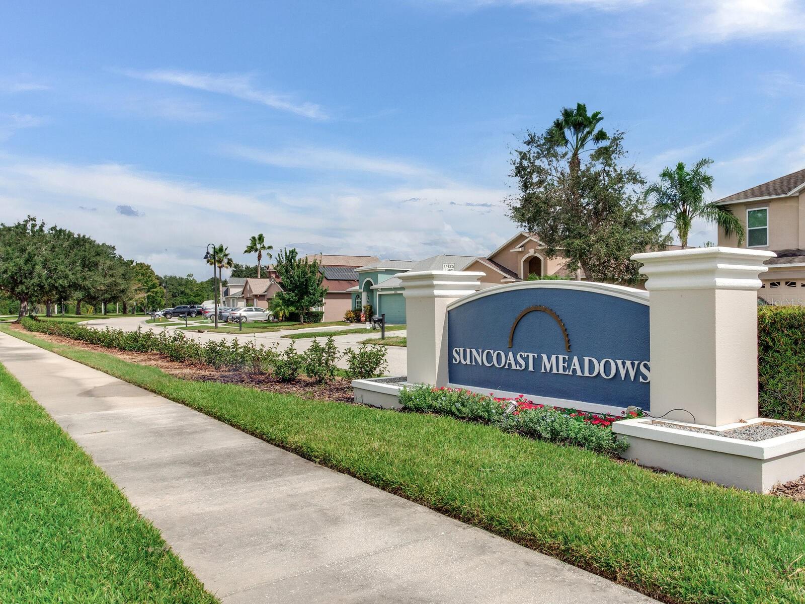 SUNCOAST MEADOWS INCREMENT 01 - Residential