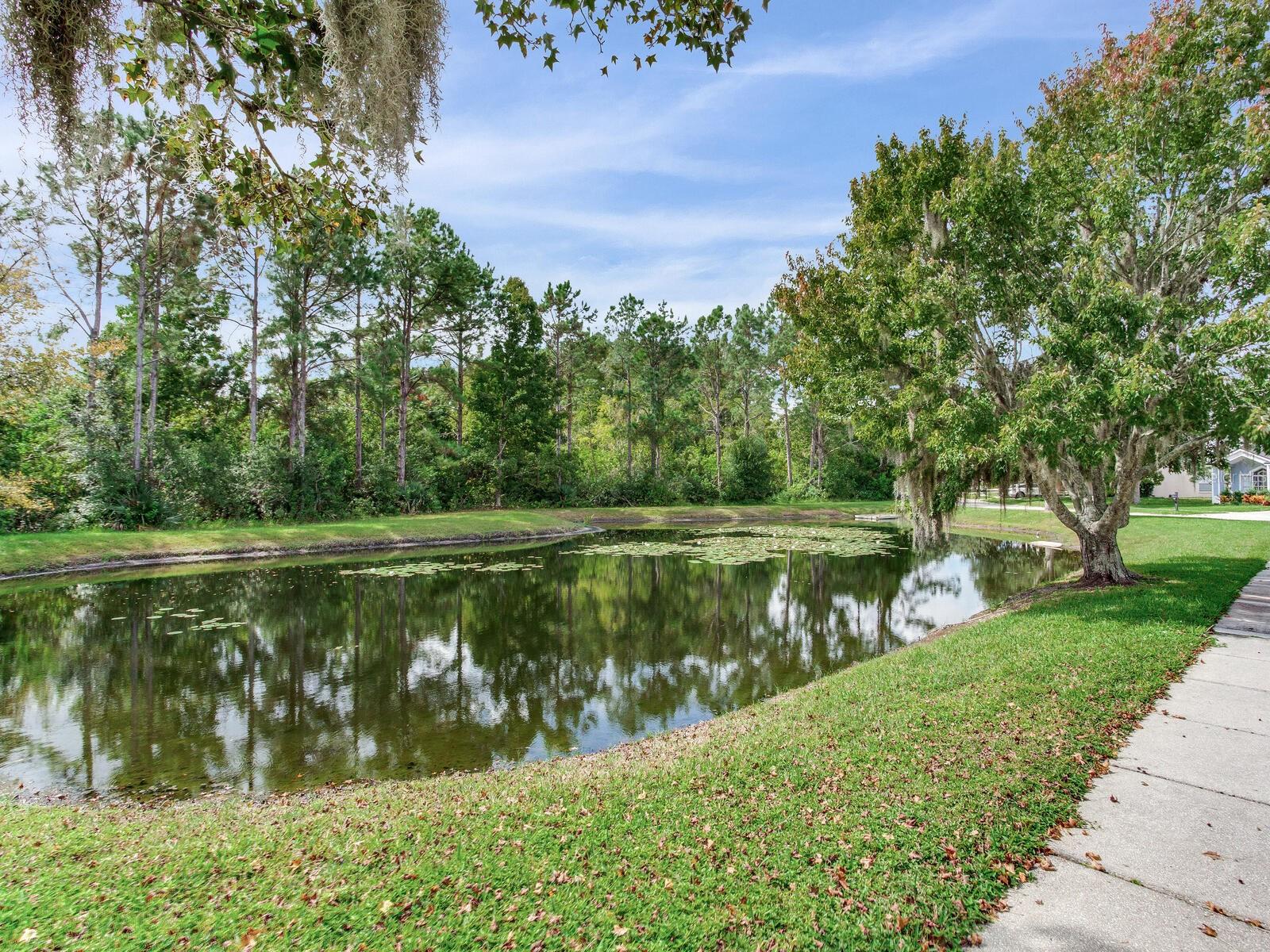 SUNCOAST MEADOWS INCREMENT 01 - Residential