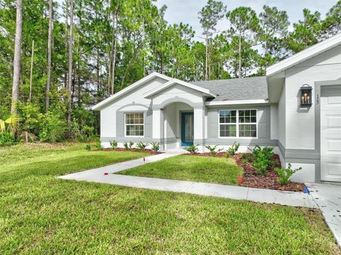 A home in PALM COAST