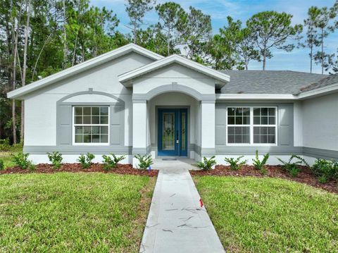 A home in PALM COAST