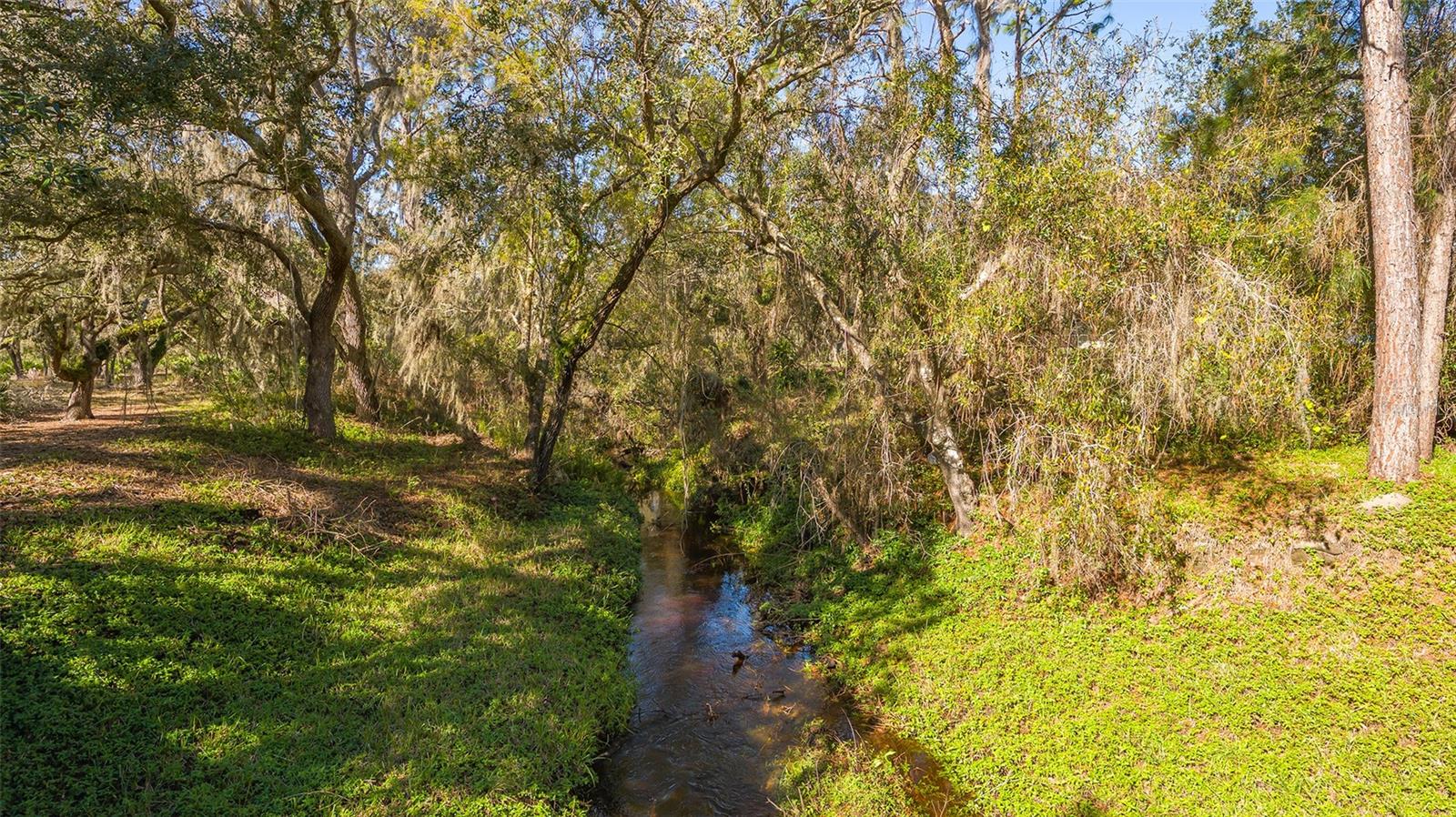 PANTHER RIDGE - Residential