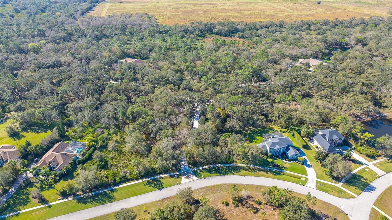 PANTHER RIDGE - Residential