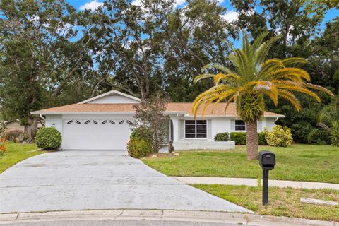 2956 SUTHERLAND COURT PALM HARBOR FL 34684