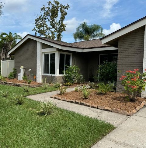 A home in TAMPA