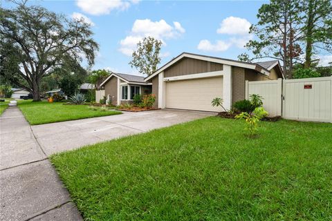 A home in TAMPA