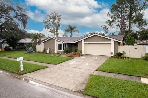 A home in TAMPA