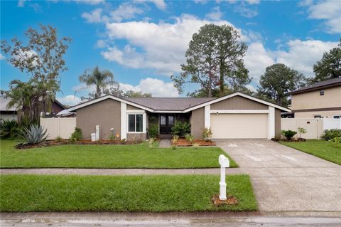 A home in TAMPA