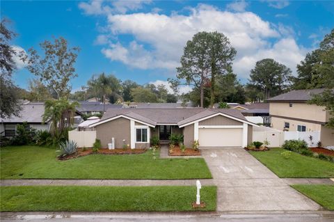 A home in TAMPA