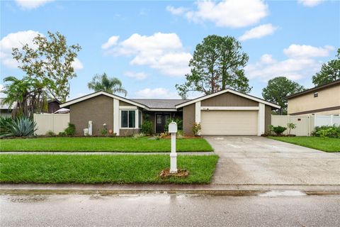 A home in TAMPA