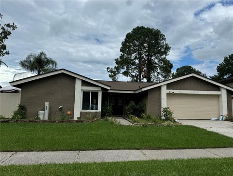 A home in TAMPA