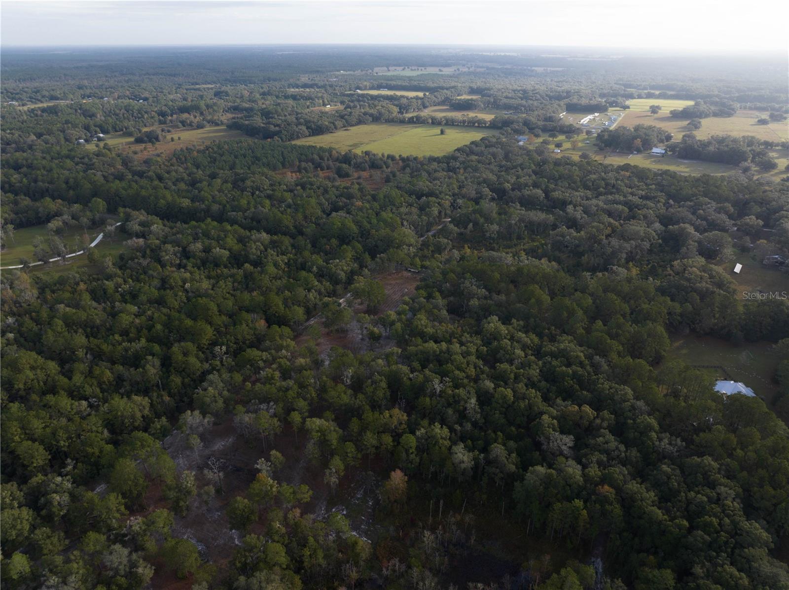 HAMPTON FARMS 17 - Land