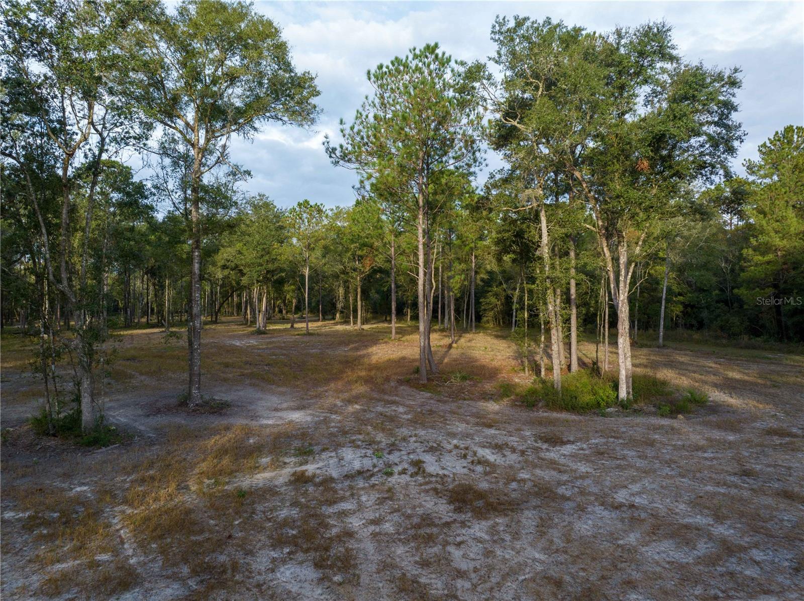 HAMPTON FARMS 17 - Land