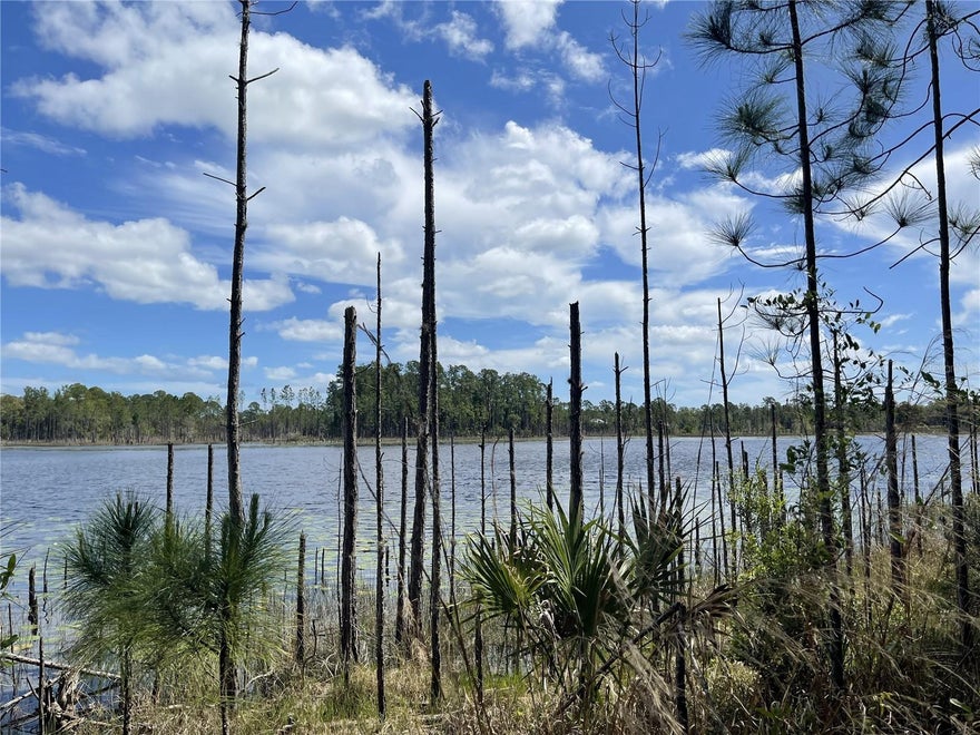 Discover the potential of this 1-acre lake front lot in Deltona lakes. Nestled along a quiet, paved road and with plenty of space to bring your vision of a custom home to life this parcel strikes the perfect balance between privacy and convenience. Create your own private retreat in a peaceful, natural setting surrounded by a mix of mature trees and native Florida greenery. Ideally located on Lake Doyle, part of the sought after Deltona Chain of Lakes, this property is not located in a flood zone and doesn't have an HOA. Enjoy the tranquility of nature while remaining just a short drive from shopping, dining, parks, and I-4 for easy commuting.