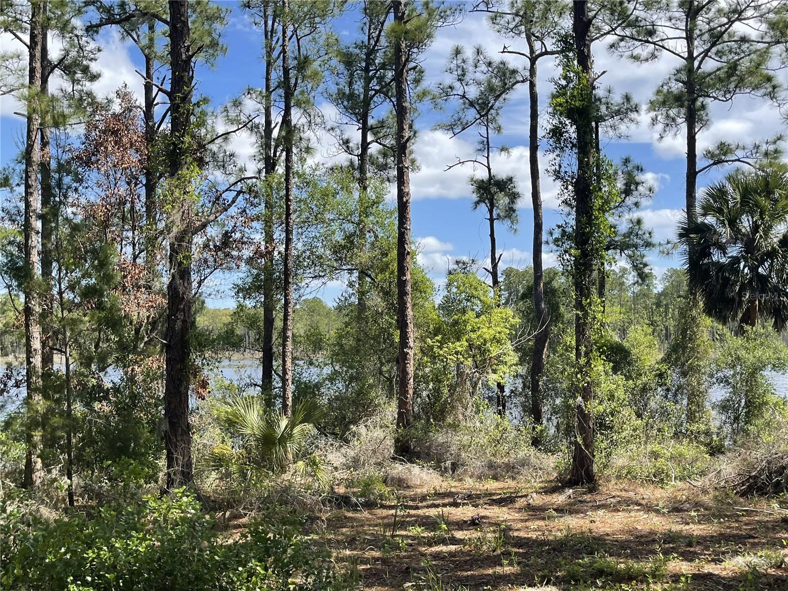 LAKE BUTLER SHORES - Land