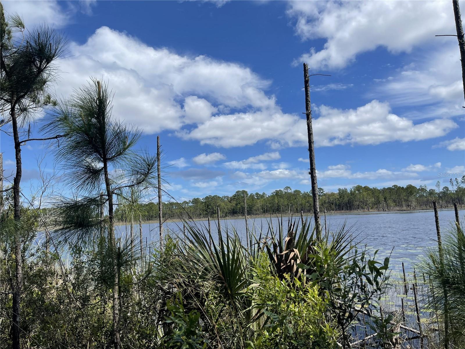 LAKE BUTLER SHORES - Land