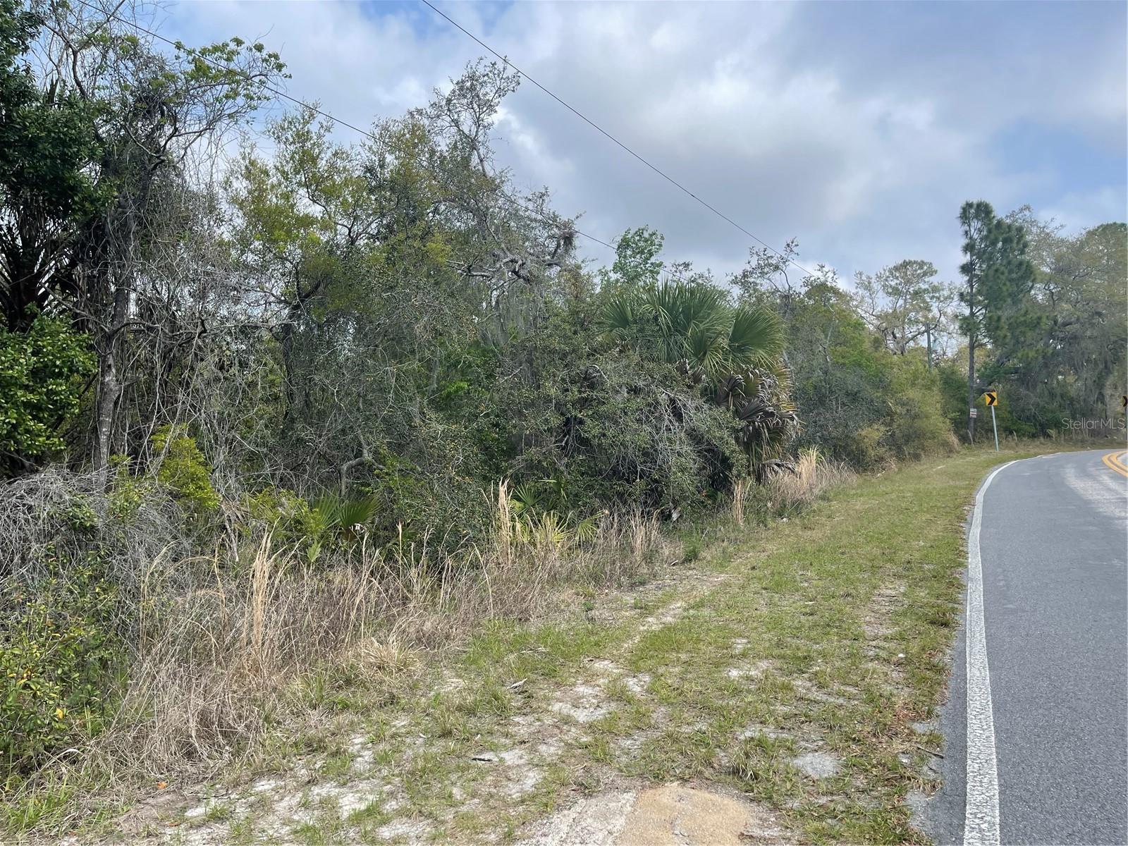 LAKE BUTLER SHORES - Land