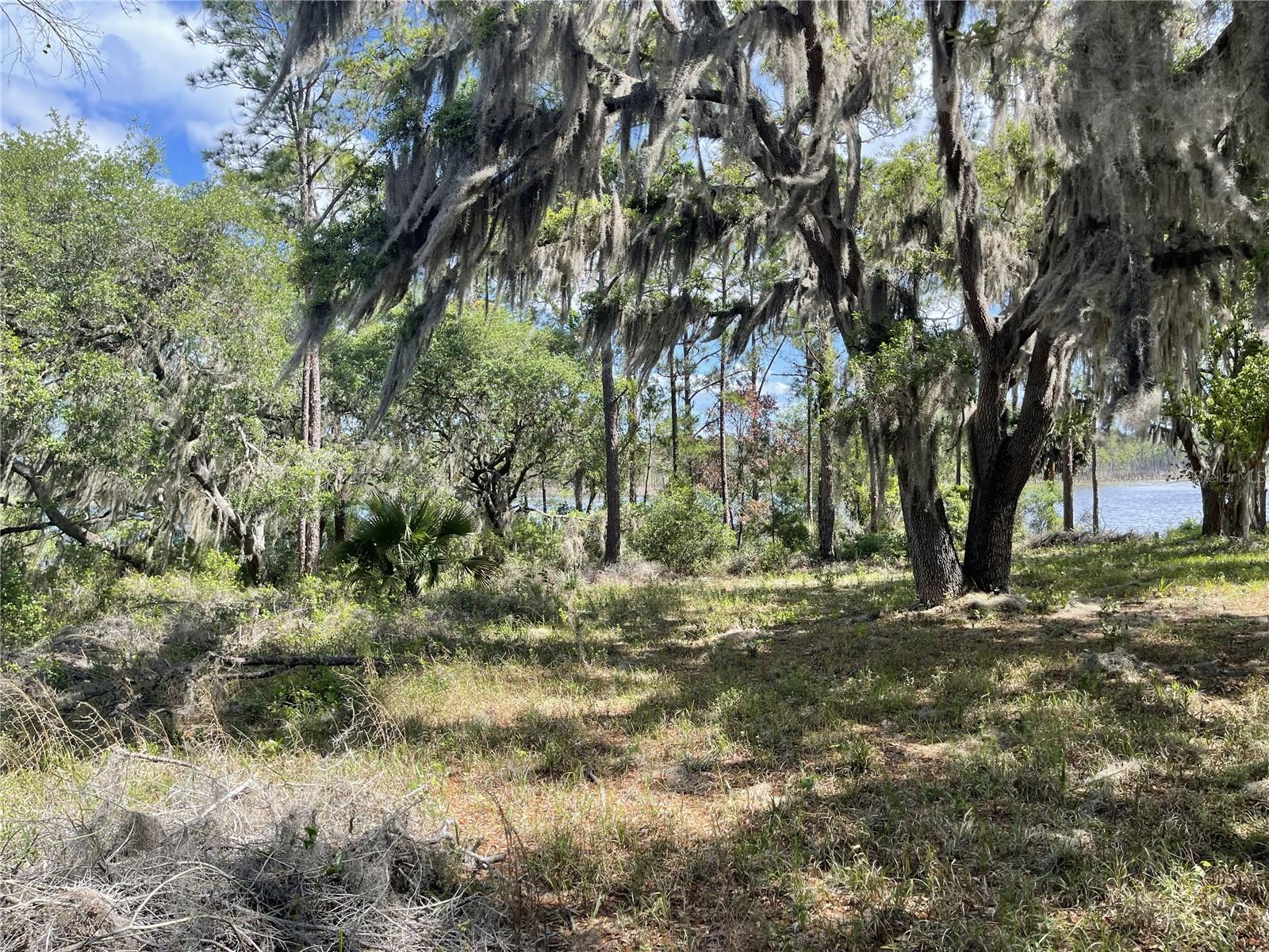 LAKE BUTLER SHORES - Land