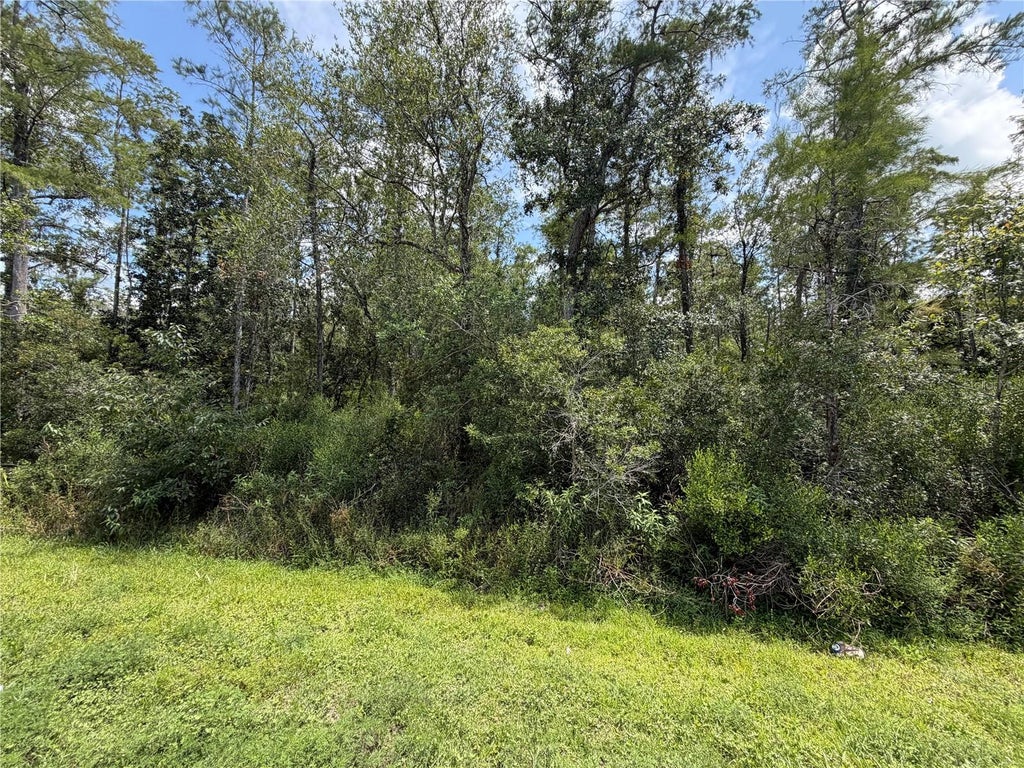 Photo of Starry Street, Orlando, FL 32833 (MLS # S5157556)