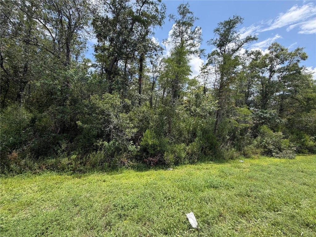 Photo of Starry Street, Orlando, FL 32833 (MLS # S5157556)