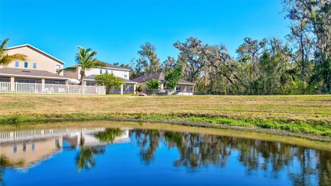 A home in LITHIA