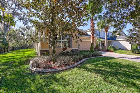 A home in LITHIA