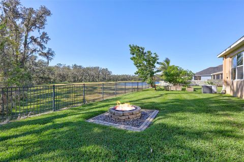 A home in LITHIA