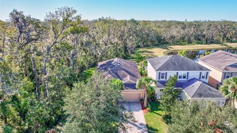 A home in LITHIA