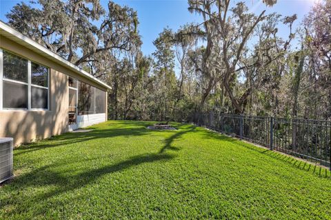 A home in LITHIA