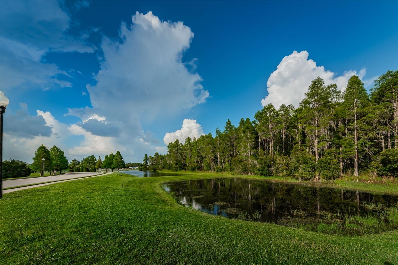 TRINITY EAST REP - Residential