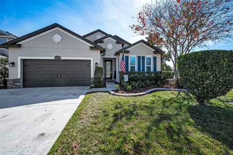 Photo of 1437 Halapa Way, Trinity, FL 34655 (MLS # TB8464281)