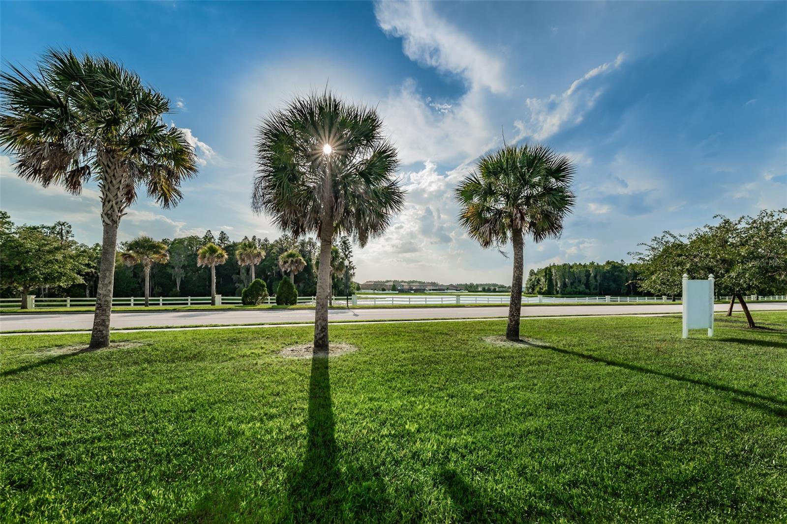 TRINITY EAST REP - Residential