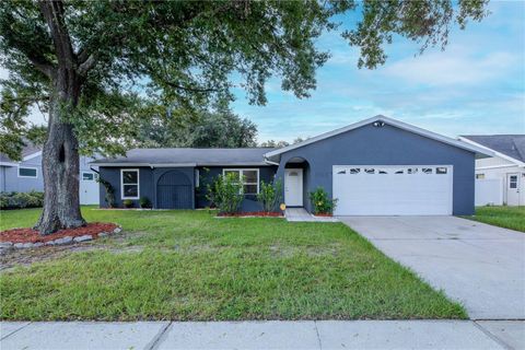 Photo of 5808 Silver Moon Avenue, Tampa, FL 33625 (MLS # TB8419505)
