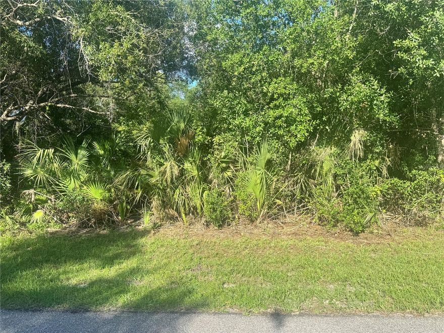 Fantastic lot for sale in a extremely fast growing area. Close to shopping centers and interstate 75. Land prices are on the rise, great investment to add to your portfolio!!