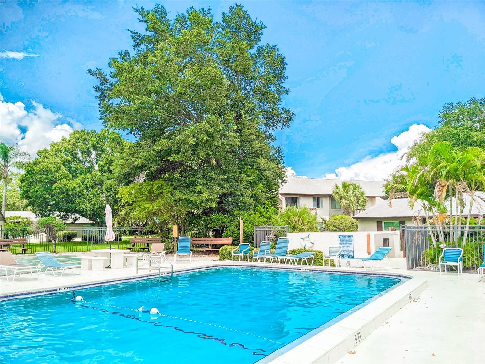 WOODSIDE VILLAGE CONDO - Residential