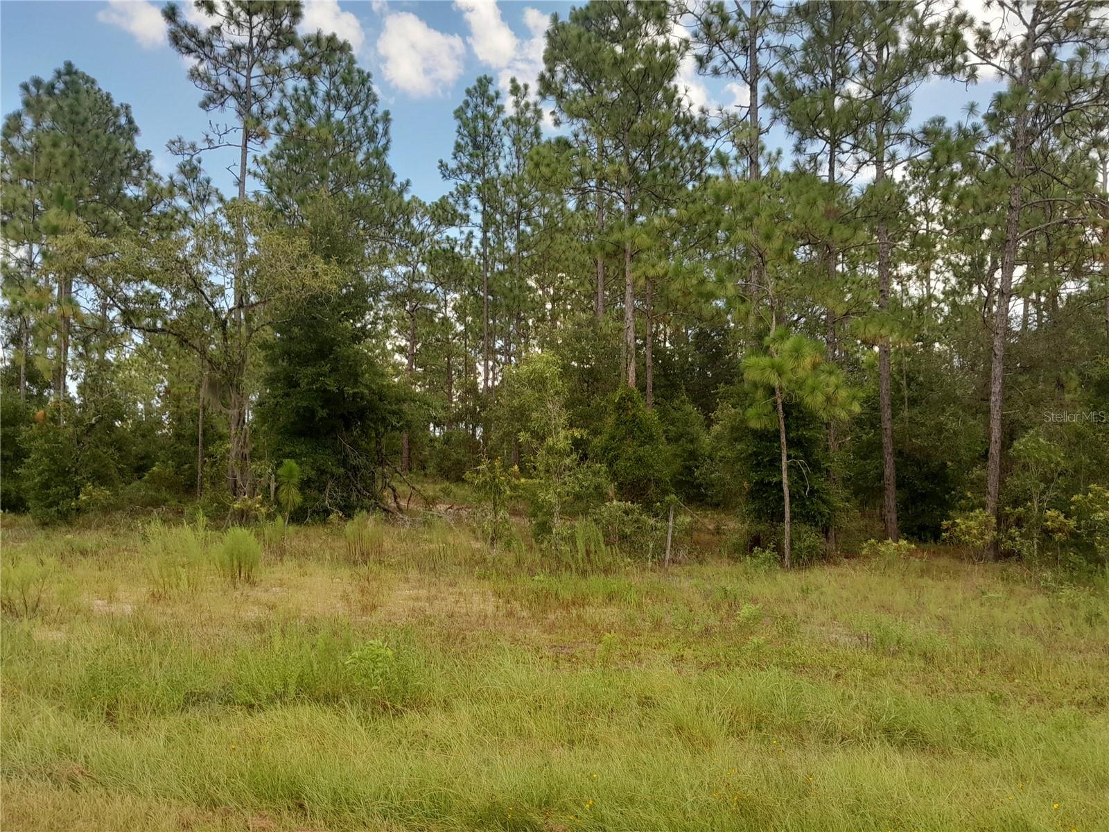 REPLAT WILLISTON HIGHLANDS UNIT 5 - Land